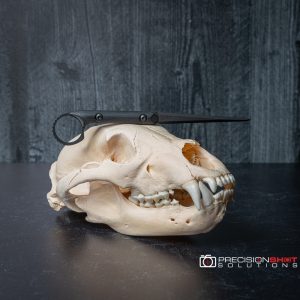 Half Face Blades Ring Cardiac Spike black G10
